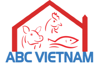 ABC Việt Nam